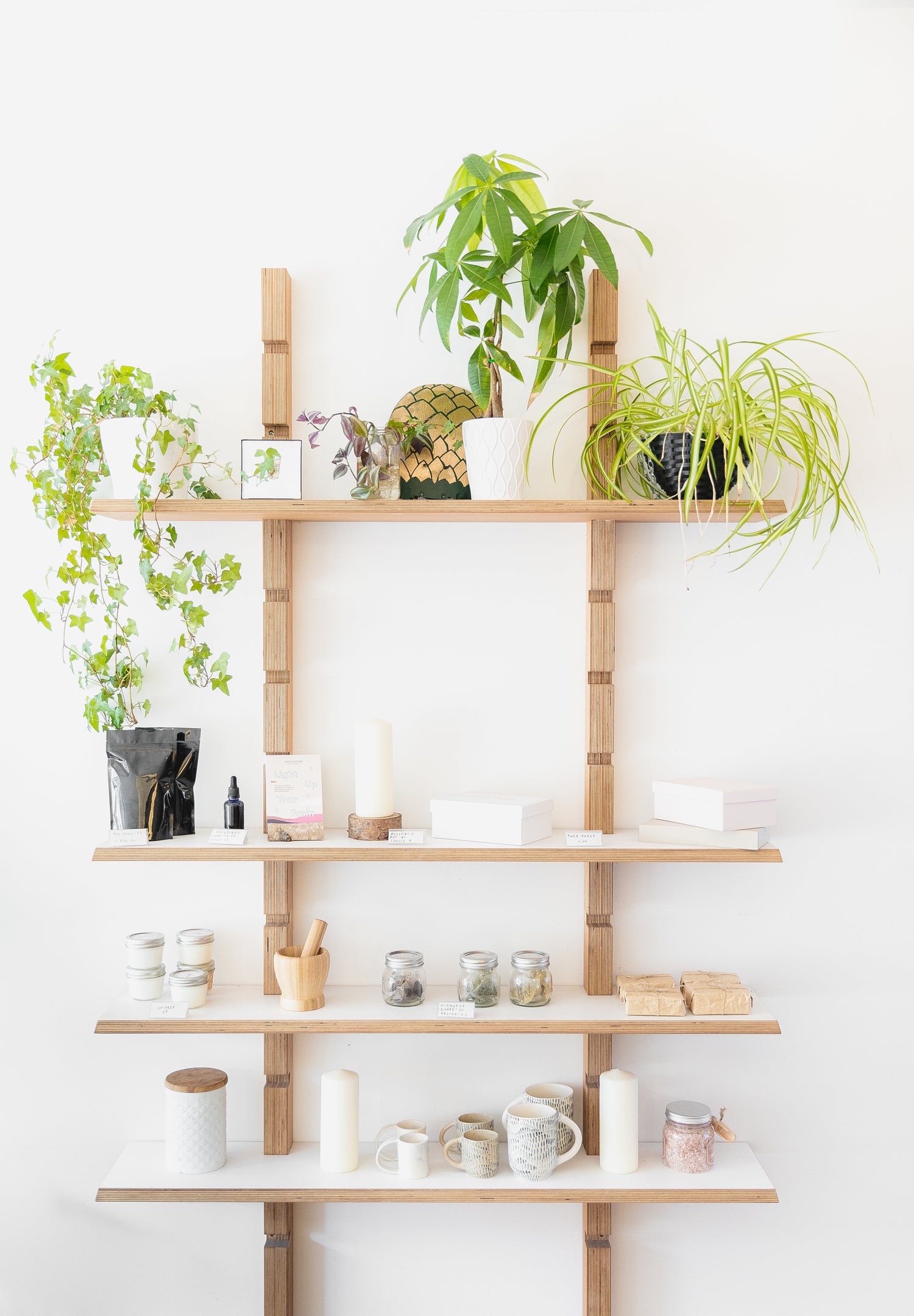 Light wood wall shelving with plants and containers