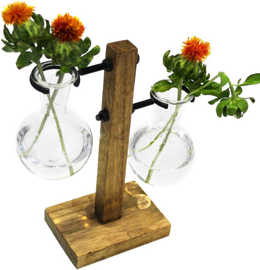 2 Bulb Desktop Plant Terrarium Glass Planter with Retro Solid Wooden Stand