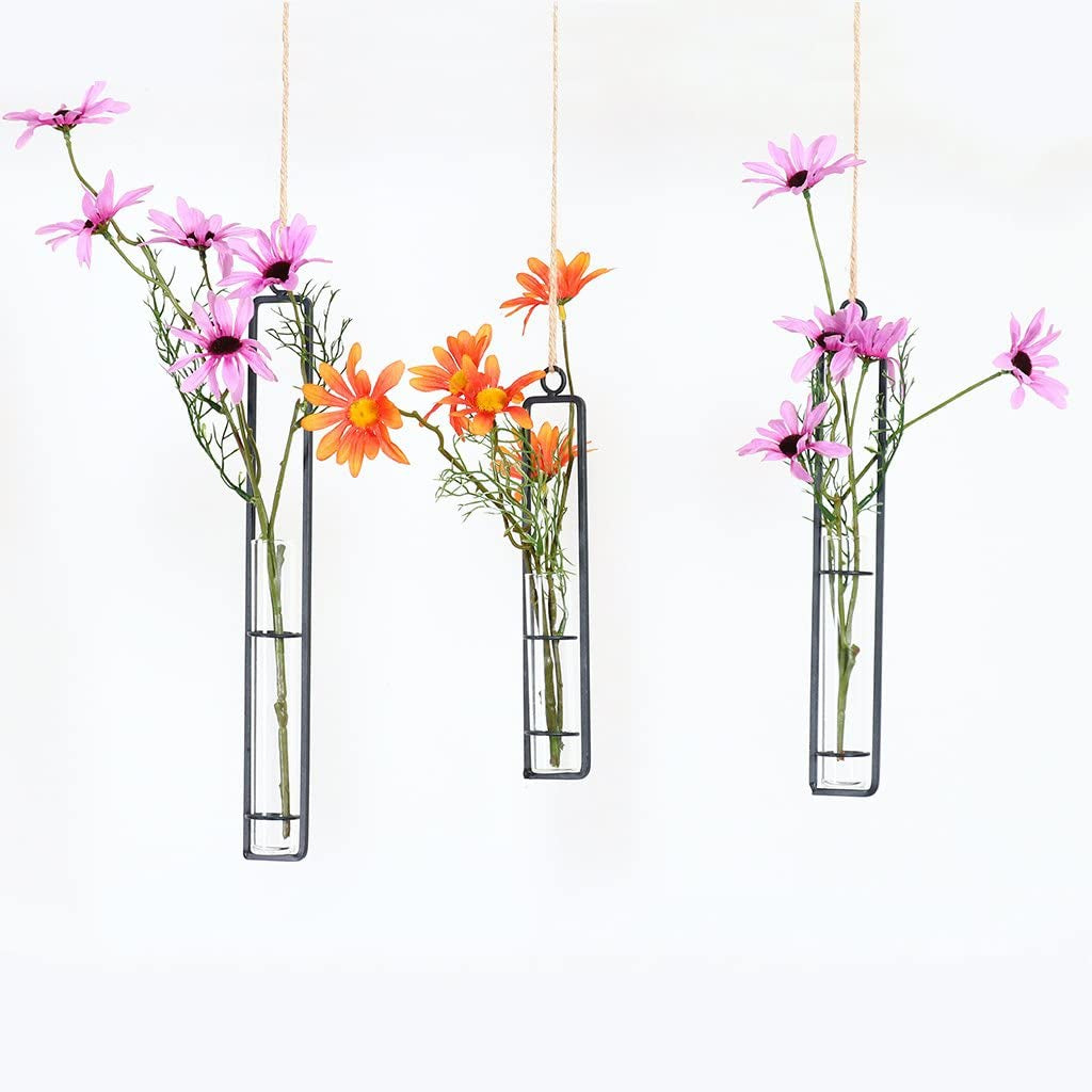 3 Piece Hanging Glass Hydroponics Planter