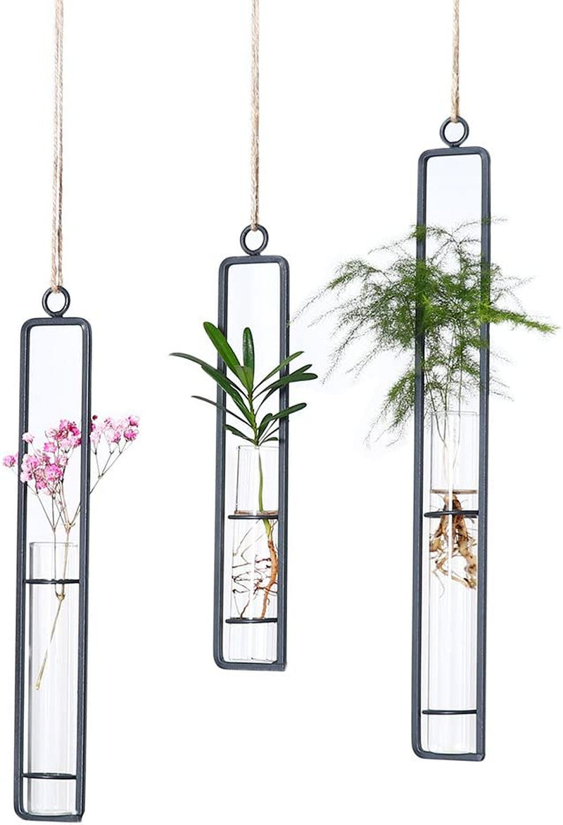 3 Piece Hanging Glass Hydroponics Planter