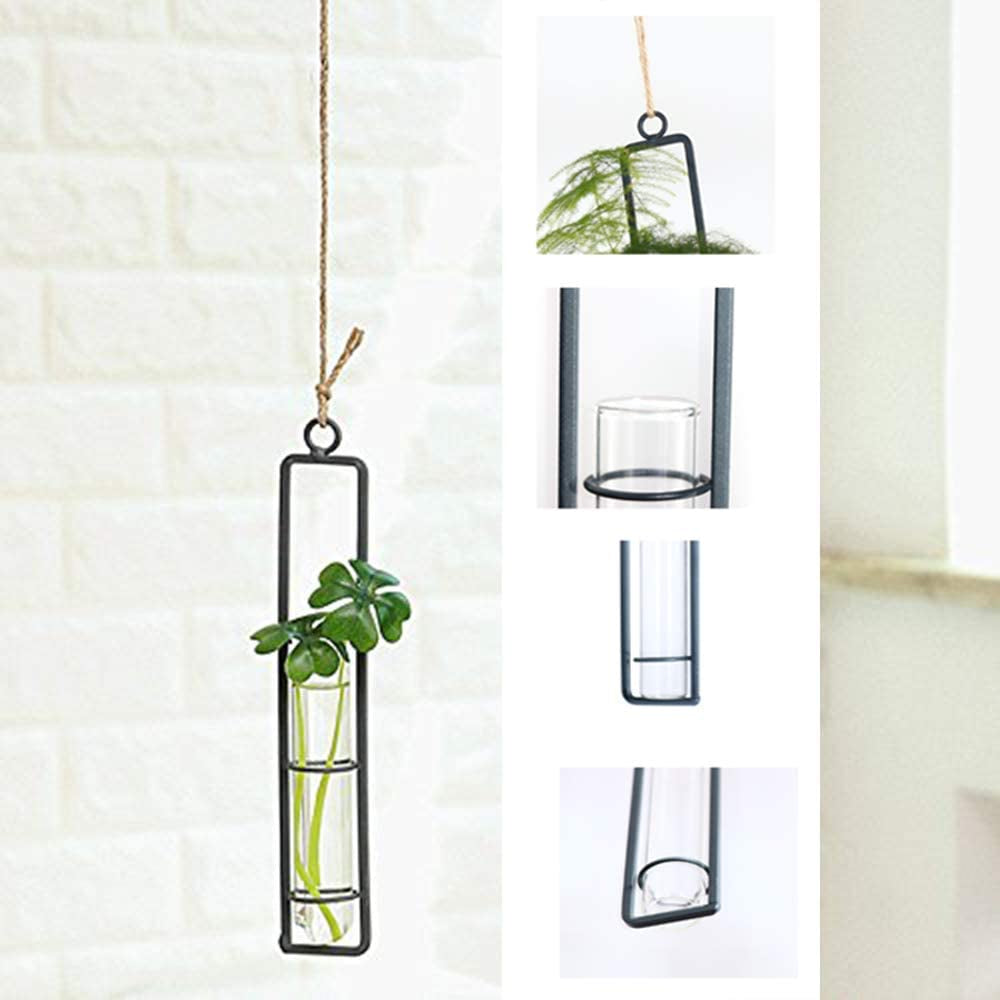 3 Piece Hanging Glass Hydroponics Planter