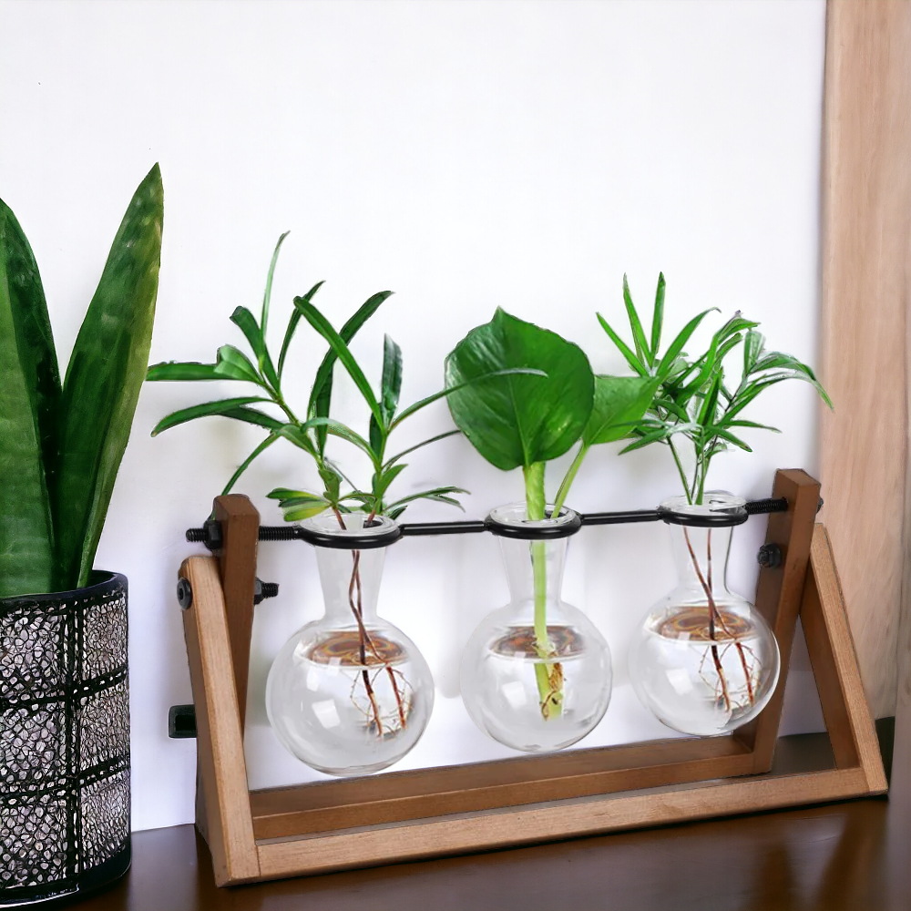 Stylish Hand-Painted Glass and Wood Propagation Station - Perfect for Plant Lovers!