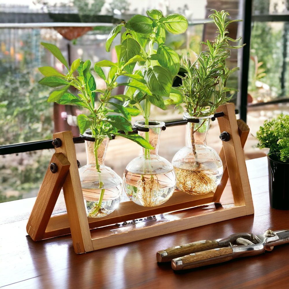 Stylish Hand-Painted Glass and Wood Propagation Station - Perfect for Plant Lovers!