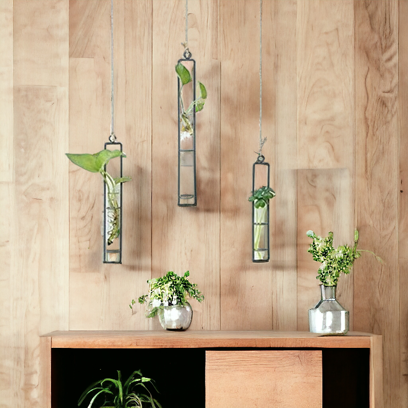 3 Piece Hanging Glass Hydroponics Planter