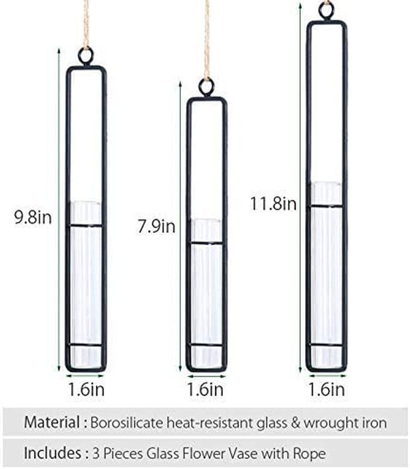 3 Piece Hanging Glass Hydroponics Planter